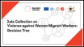 Decision Tree: Data Collection on Violence against Women Migrant Workers