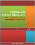 China: National AIDS Spending Assessment 2010