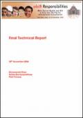 Risks and Responsibilities: Final Report 2006