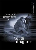 Structural Determinants of Youth Drug Use