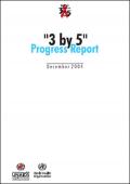 "3 by 5" Progress Report 2004