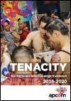 TENACITY: Leaving No One Behind Strategic Framework 2018 – 2020