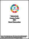 Brunei Darussalam Tuberculosis Country Profile 2021