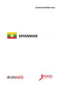 Myanmar Country Snapshot 2016