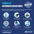 WHO World Antibiotic Awareness Week 2016 (Infographic)